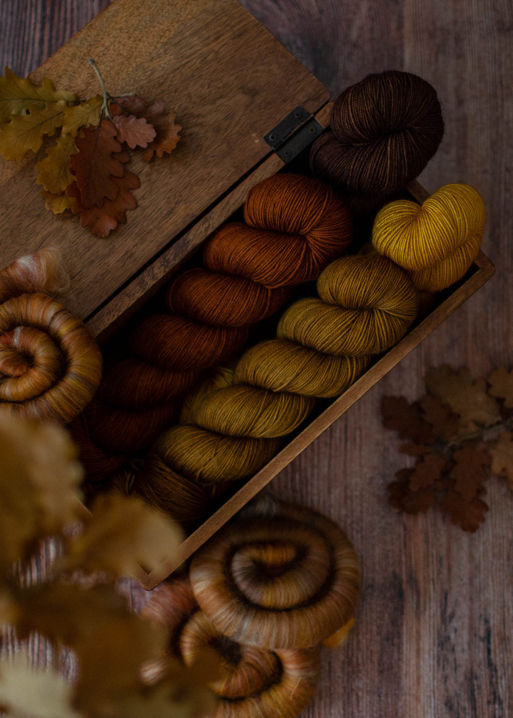 Rosemary DK