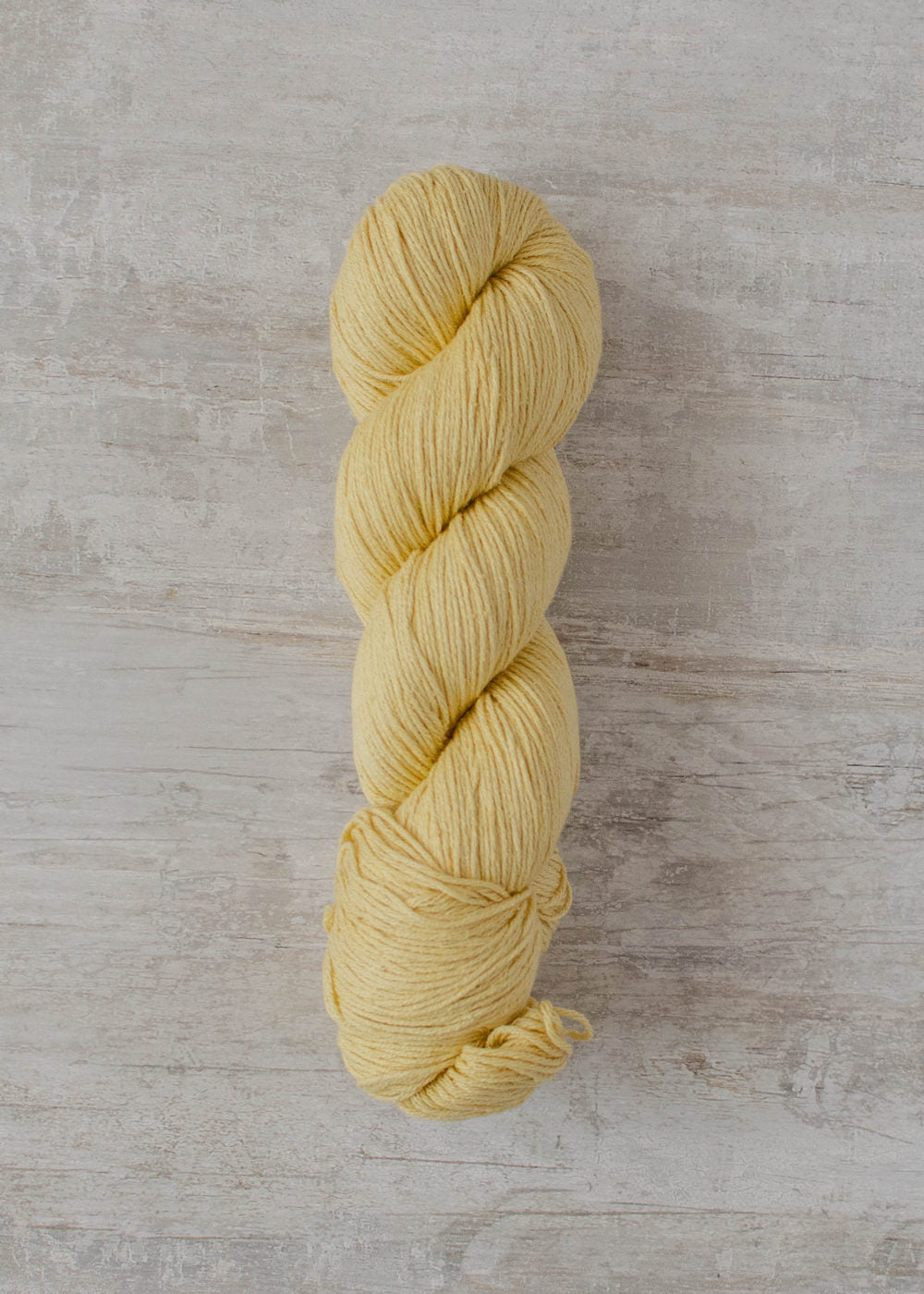 Ilex Silk