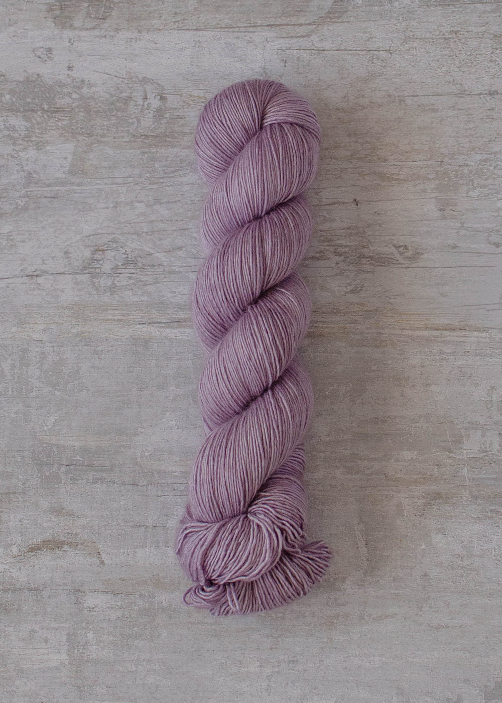 Wisteria