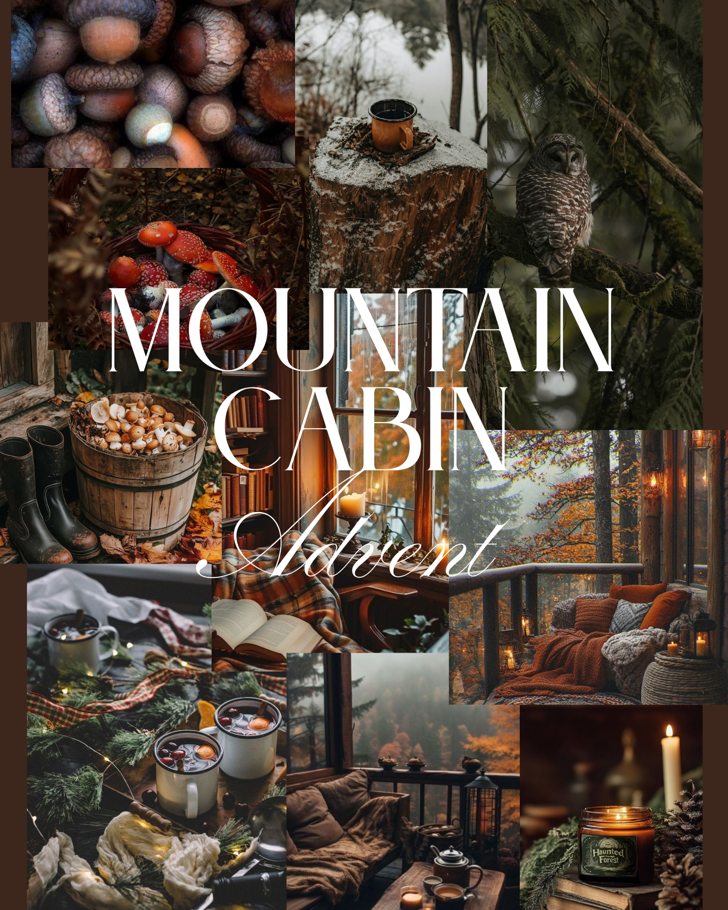 Mountain Cabin Advent