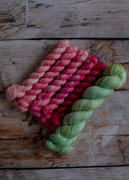 Pre-Venta Bloom Yarn Club