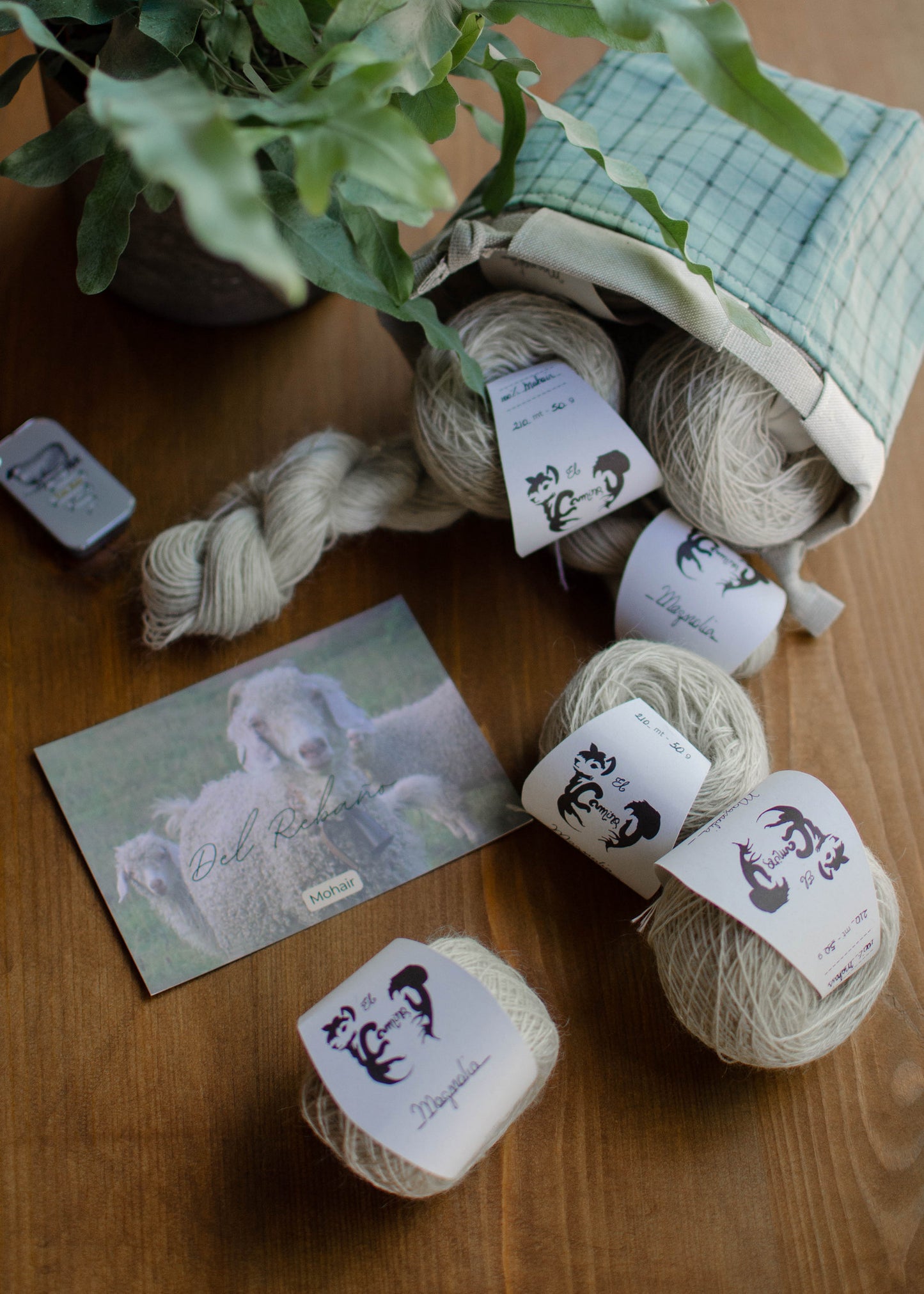 Mohair Magnolia - Alpacas El Camino