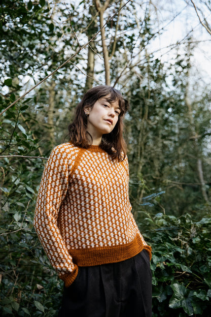 Field Notes: 20 Textured Knits for Everyday Beauty de Olga Putano por Laine